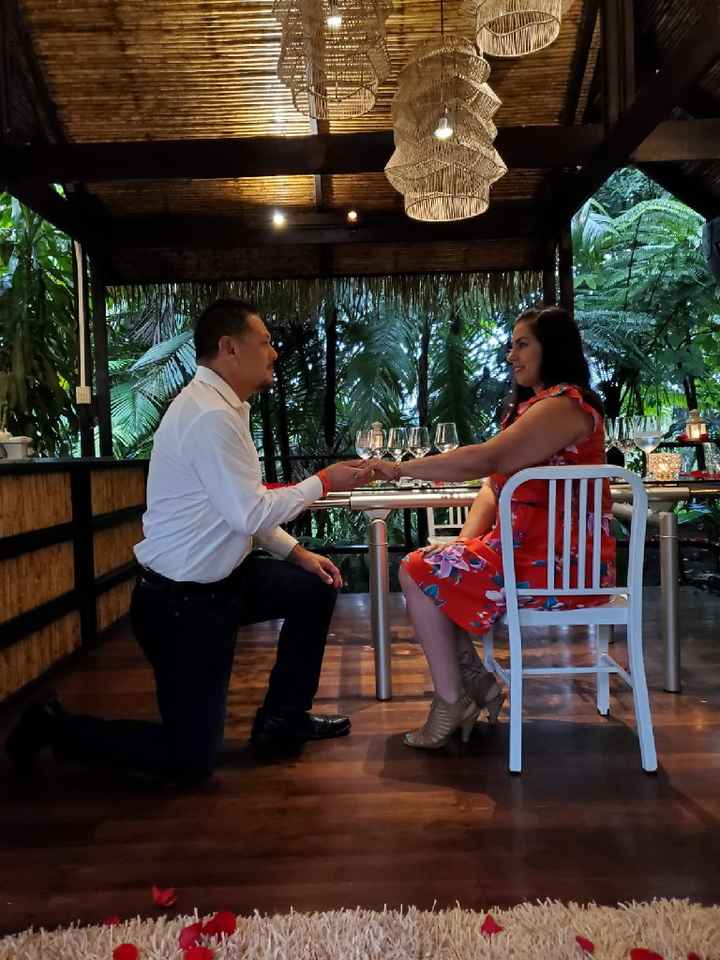 How did your fiance propose to you and were you suprised? - 1