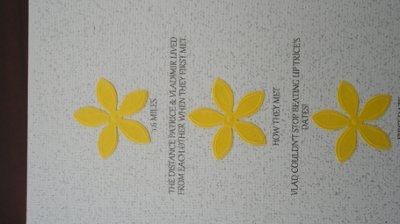 diy STD & Invites...