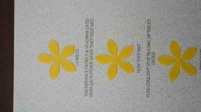 diy STD & Invites...