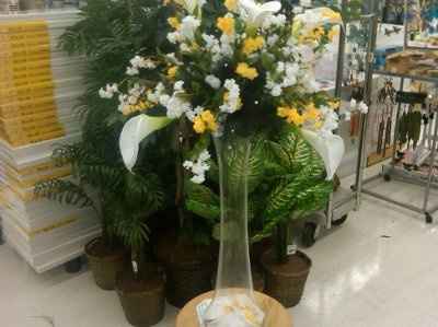 wow glass vases are expensive!! *help*