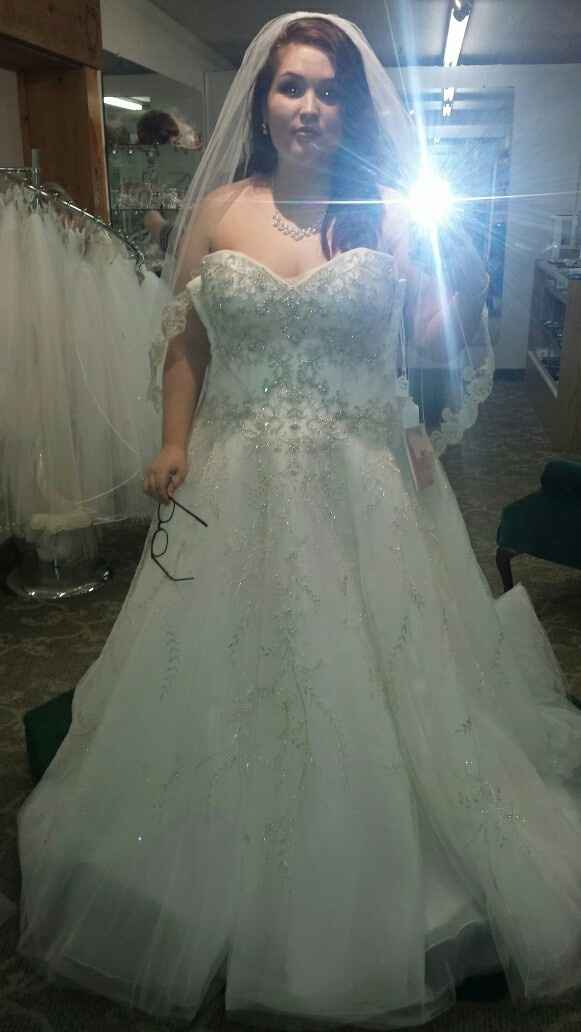 Plus Size Brides , share your dress !