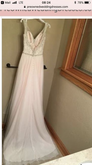 Chiffon wedding dress