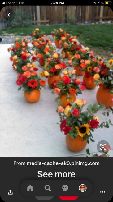 Need help with fall decoration ideas! 2