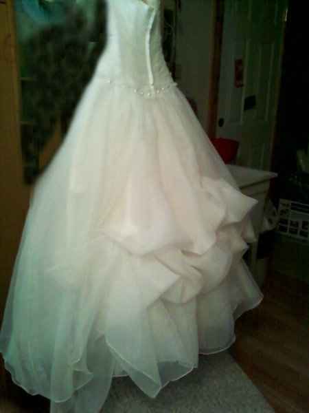 Organza Dress Bustle Trouble