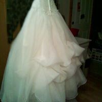 Organza Dress Bustle Trouble
