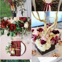 What are your wedding colors??