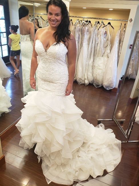 Not seeing the bigger picture 3