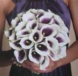 What are the best "Summer" flowers?