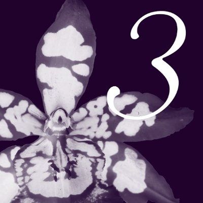 what r ppl doing-Table numbers or themes?