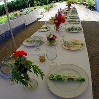 Wedding colors for a country wedding....