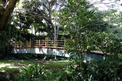 Help with planning a wedding in Hawaii