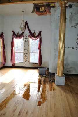 How sad! 14,000 sq ft mansion ruined (used to be a wedding venue) *PICS