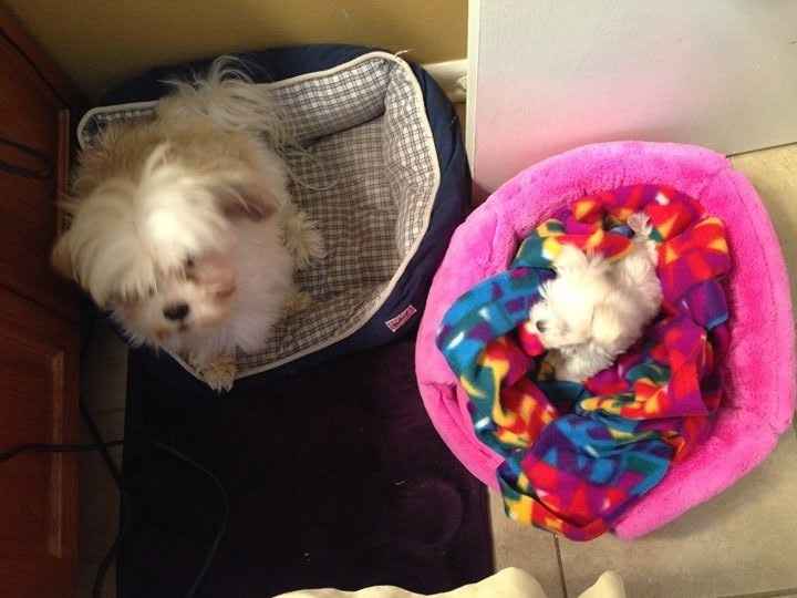 Best wedding gift I could have asked for!