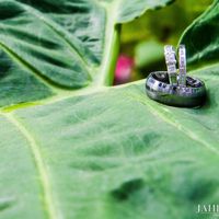 Back and married (Non pro pics included)