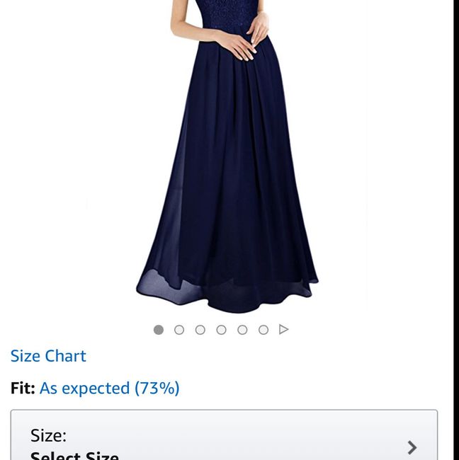Bridesmaid Dress Help! - 1