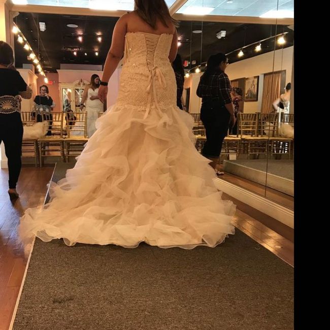 Show me your dresses?! - 1