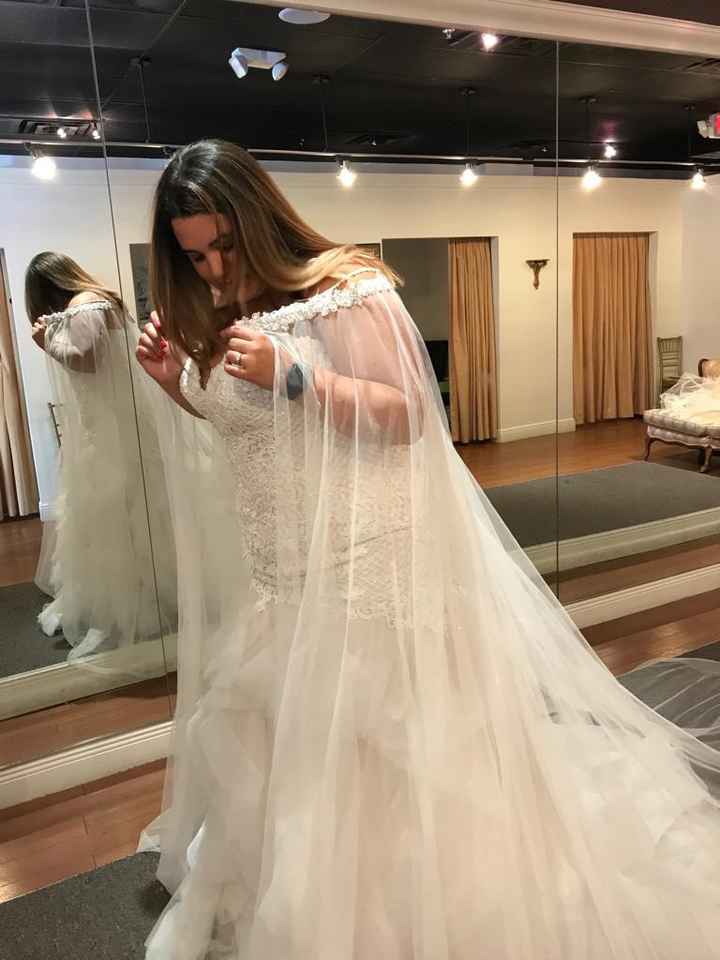 Your Veil: What, Where, How Much? - 1