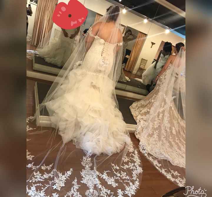 My Dress Came In!!! - Please share yours 😆 - 1