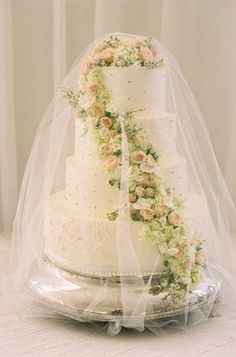 Outdoor wedding   Cake = bugs?