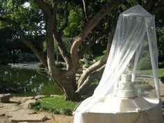 Outdoor wedding   Cake = bugs?