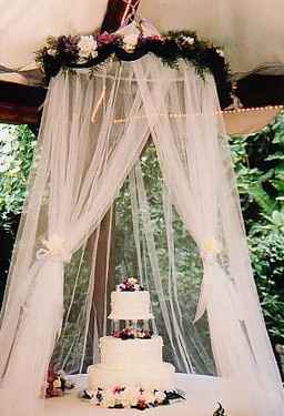 Outdoor wedding   Cake = bugs?