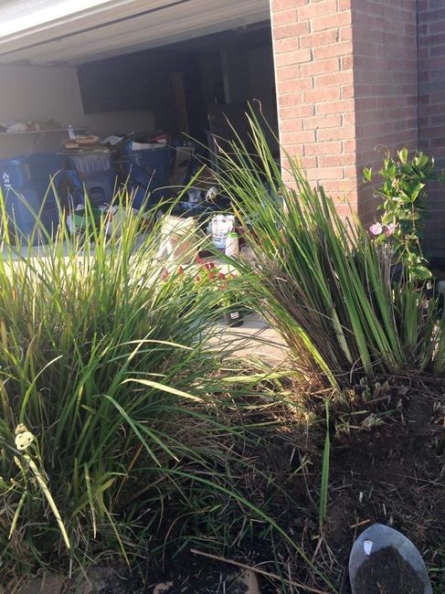 NWR: Our first lil garden!