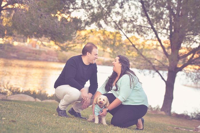 Dogs in engagement photos 16