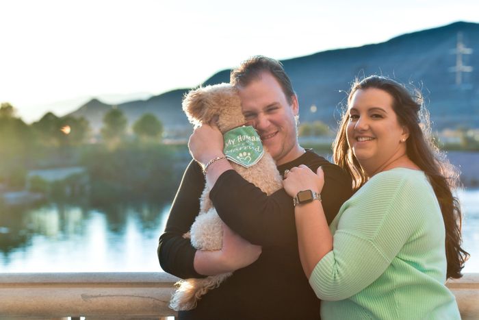 Dogs in engagement photos 17