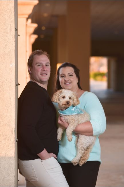 Dogs in engagement photos 15