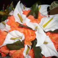 Help need ideas for bridemaids bouquet, peacock theme, cant afford flowers.