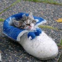 MRS. S - Saw this and thought of you :)