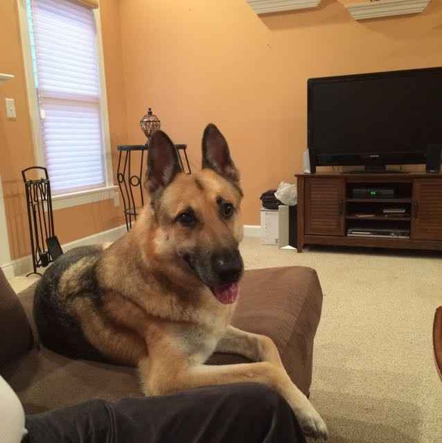 NWR: National Dog Day!