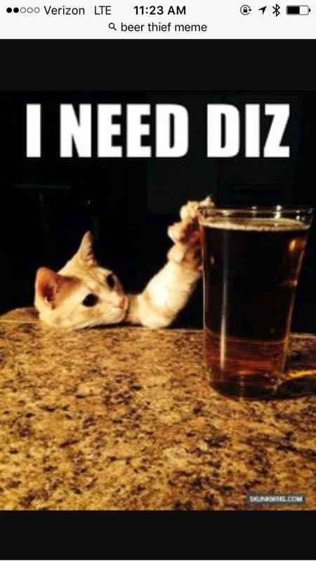 NWR: Memes & Cute Animal Pictures