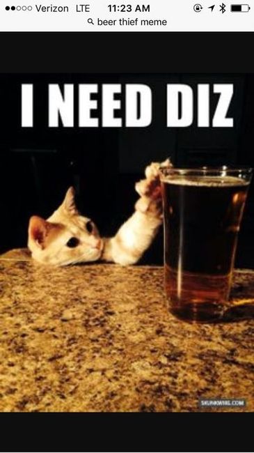 NWR: Memes & Cute Animal Pictures