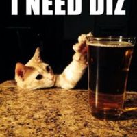 NWR: Memes & Cute Animal Pictures