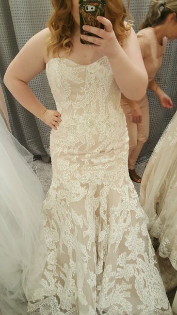 Blush wedding dress with dress pic