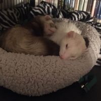 NWR today has been literal shit