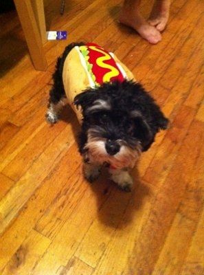 NWR: I want to see your pets!