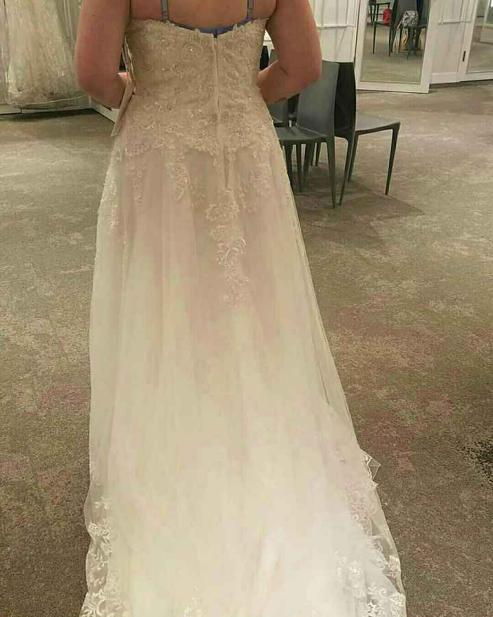 Wedding dress slip? - 2