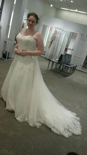 Wedding dress slip? - 3