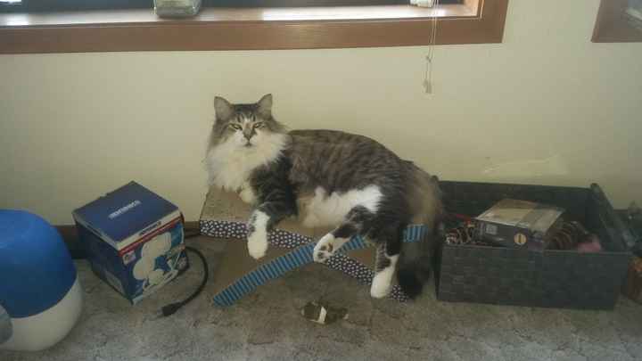 Exhausted, in search of some ladies to vent to