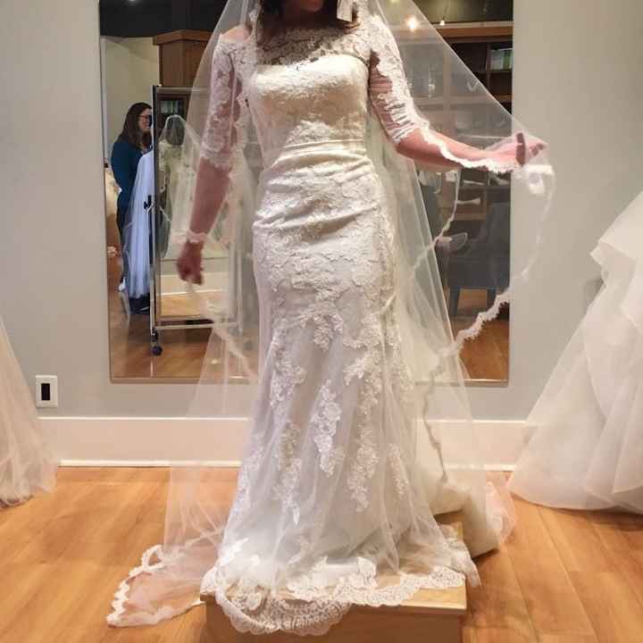 Veils