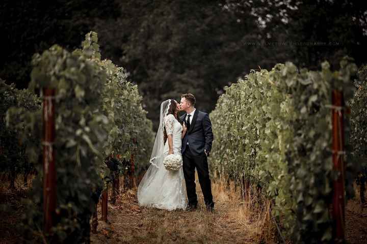 Pro BAM - #happilyeverlachney