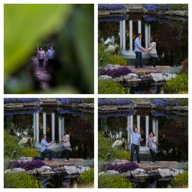 Pictures of him "popping the question"