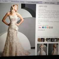 Ladies, what dress did you wish you could have tried on but didn't or couldn't get the chance to?