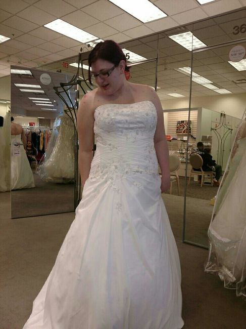 What are your thoughts on these two dresses?