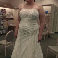 Size 22 & 24 brides!