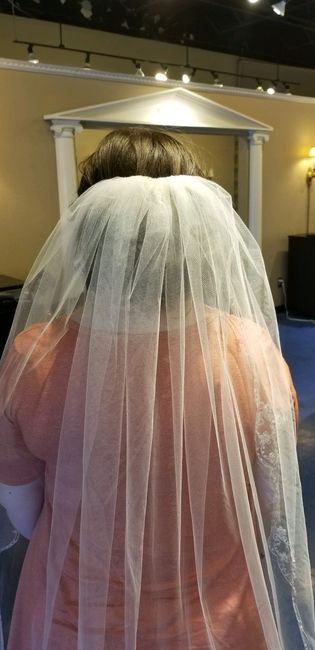Hair trial (pic heavy) - 3