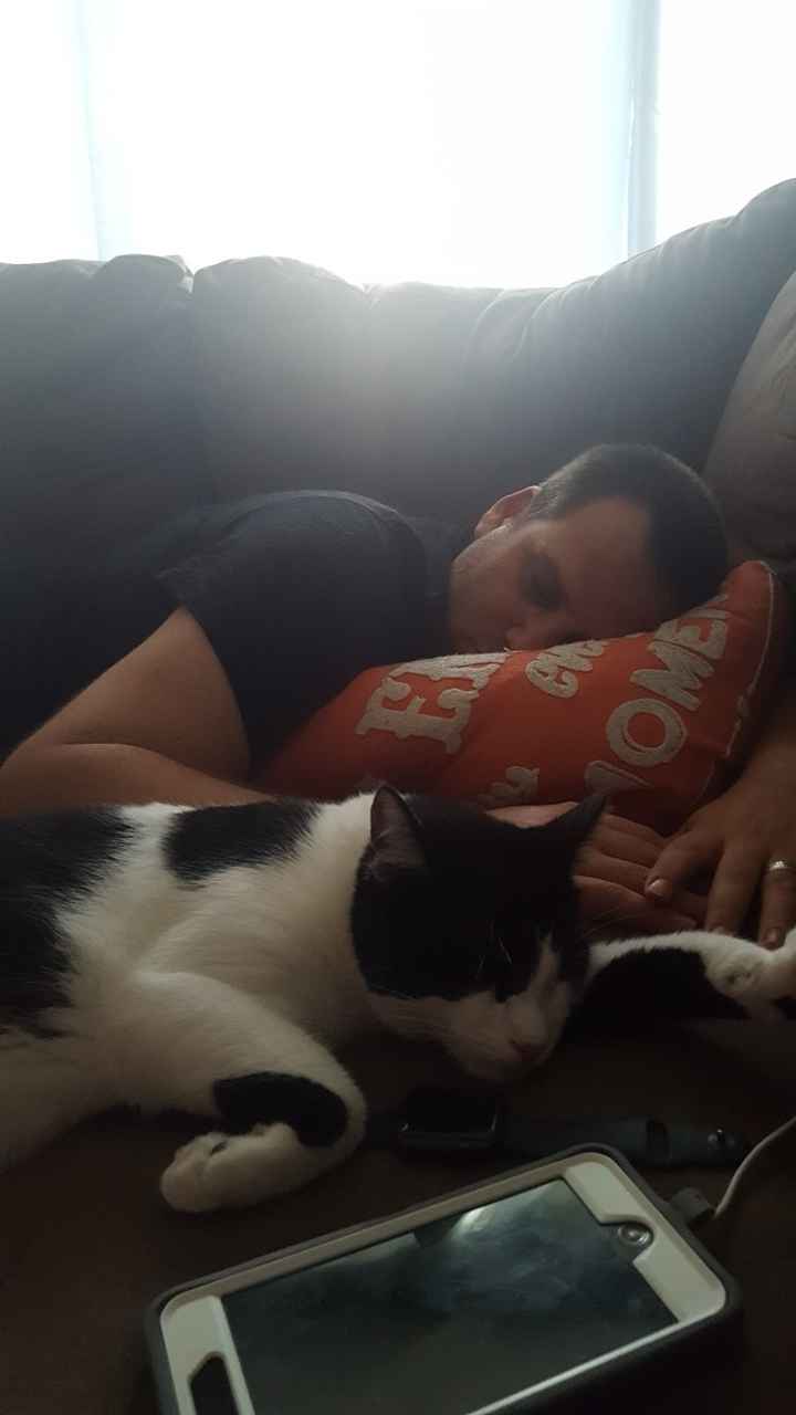 Show Me... Cheering Up!