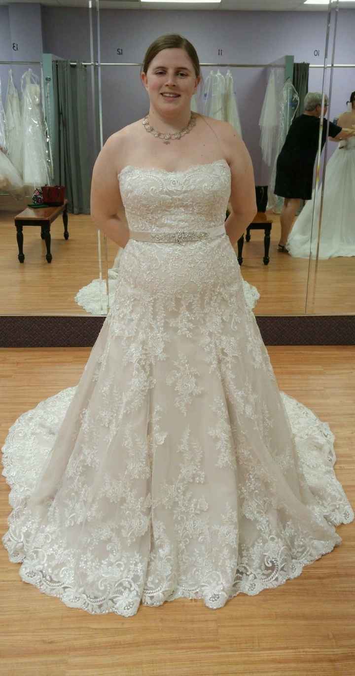 Where did you find your bra? - 2